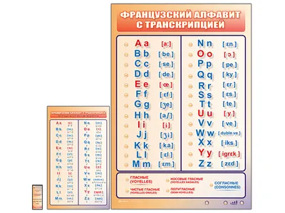 Шпаргалка Французский алфавит 148х210 мм