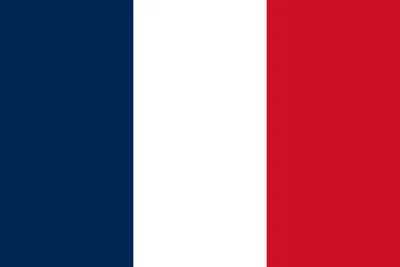 Французский флаг на шесте, 25 градусов 3D Модель $8 - .c4d - Free3D
