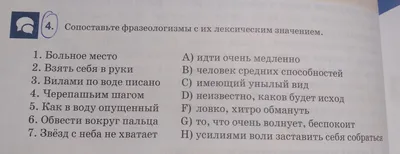 Фразеособакизмы. Фразеологизмы о собаках» Елена Грабчикова - купить книгу  «Фразеособакизмы. Фразеологизмы о собаках» в Минске — Издательство Народная  асвета на 