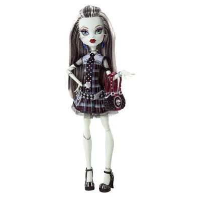 Monster High Монстр Хай Френки Frankie Stein Rockstar