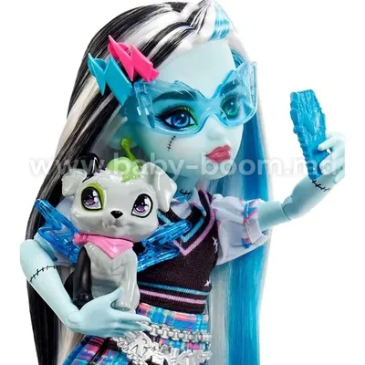 Monster High HHK53 Кукла Фрэнки Штейн с питомцем купить в Молдове, Кишиневе  - 