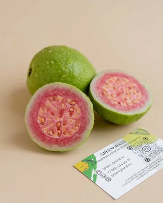 Гуава (Guava) экзотический фрукт,…» — создано в Шедевруме
