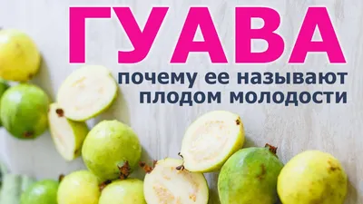 Купить Гуава Тайланд в Минске - Экзотические фрукты в коробках