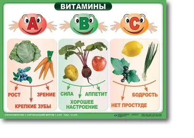 5 игр для детей с фруктами на развитие памяти, наблюдательности и логики |  Весёлый слон | Дзен