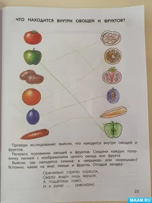 Рисунки овощей и фруктов для детей - 52 фото