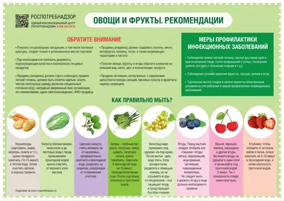 Пять фруктов и овощей, помогающих похудеть - , Sputnik Казахстан