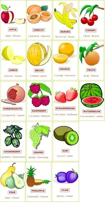 Овощи и фрукты на английском языке (названия с транскрипцией), картинки? |  Овощи, Картинки слов, Изучать английский