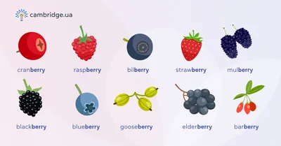 Все фрукты и ягоды на английском: полезные идиомы и лексика