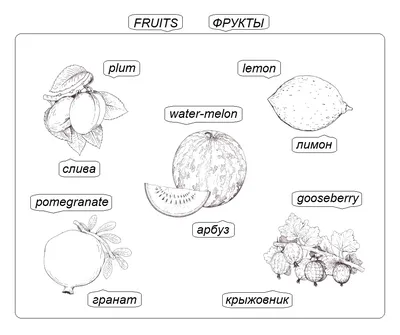 Фрукты на русском и английском - 