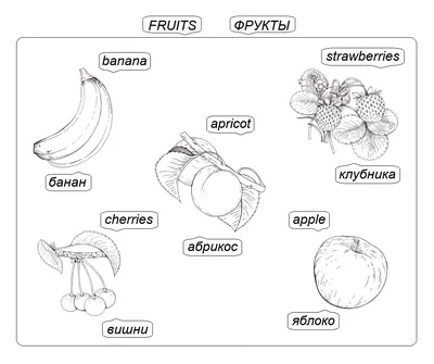 Обучающие карточки «Изучаем английский. Фрукты», 16 штук, 3+ купить,  отзывы, фото, доставка - 