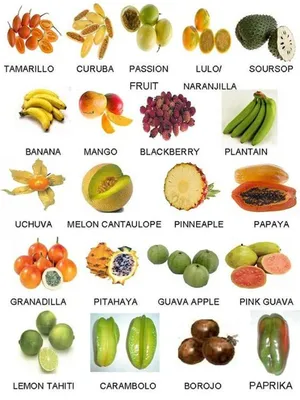 Pin by Sun Chhunlann on Fruits | Fruit names, Fruit, Exotic fruit