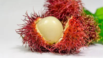 Экзотические фрукты Тайланда — Мамонт