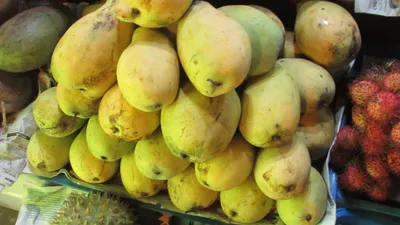 Экзотические фрукты Вьетнама: названия и фото, цены, фрукты по месяцам, как  везти в самолете.