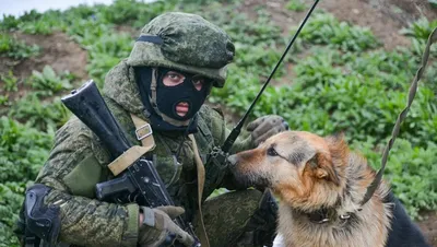 Пограничным управлением ФСБ России по Ростовской области проводится отбор  кандидатов для поступления в образовательные организации ФСБ России | Заря