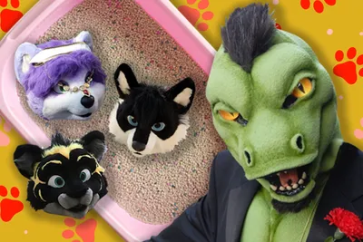 Real-life furries: I am a not a cat litter box joke