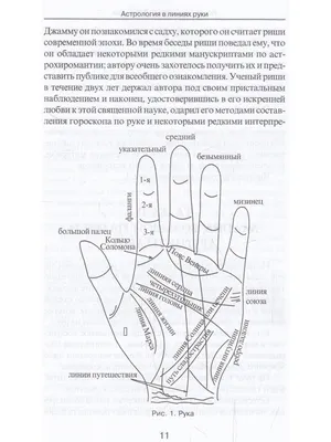 Хиромантия для чайников: что вы можете прочитать по своей руке | MARIECLAIRE