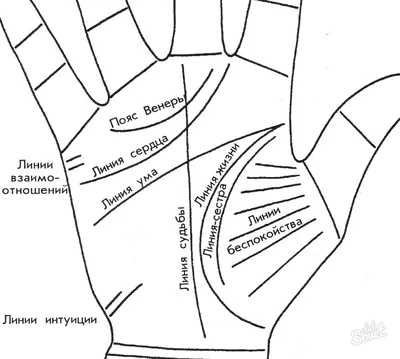 Прочтите» Свои Ладони и Узнайте о Себе Много Нового - YouTube