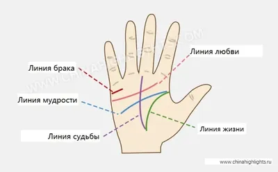 Буду ли я счастлива? Есть ли у меня ангел-хранитель?" Уроки практической  хиромантии | Тайные знания Лилит | Дзен