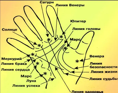 Линия брака на руке у женщины и мужчины: фото, расположение, значение,  расшифровка