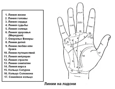 Иллюстрация 32 из 34 для Астрология в линиях руки. Как составить гороскоп  по линиям и знакам руки - Сарасвати, Чавдхри | Лабиринт - книги. Источник:  GallaL