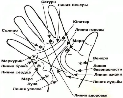 Линия счастья на ладони в хиромантии - расположение, значение, примеры |  Palm reading, Palmistry, Astrology