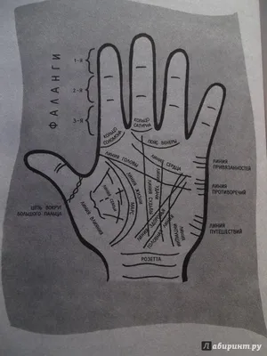 Верное гадание по руке - купить эзотерики и парапсихологии в  интернет-магазинах, цены на Мегамаркет |