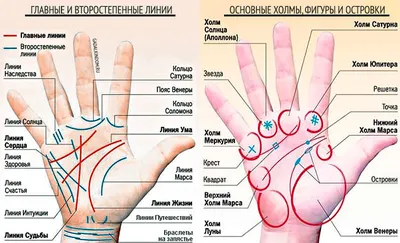 Пальцы - Гадание по руке на 