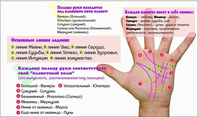 Хиромантия или предсказания судьбы по руке