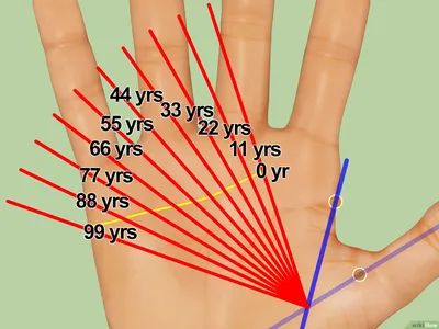Главные линии на ладони. Гадания на все случаи жизни