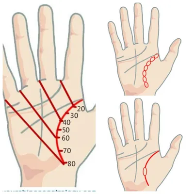 Как гадать по руке: что линии на ладони могут рассказать о вашей судьбе