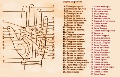 Хиромантия или гадание по руке - купить книгу в интернет-магазине CentrMag  по лучшим ценам! (00-01048136)