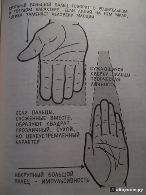 Иллюстрация 11 из 13 для Гадание по руке - Реймонд Литцка | Лабиринт -  книги. Источник: Рязанов Антон