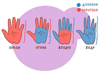 Гадание по руке для начинающих по основным линиям. Что может рассказать о  вас линия жизни, сердца и головы? | Лисичка | Дзен