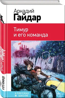 Тимур и его команда А. Гайдара. Школьная программа - Стрекоза