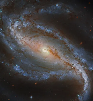 Фото дня: спиральная галактика с перемычкой в созвездии Девы