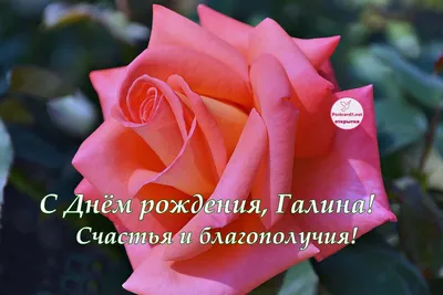 🌸 ГАЛИНА С ДНЕМ РОЖДЕНИЯ / С ДНЕМ РОЖДЕНИЯ ГАЛИНКА / С ДНЁМ РОЖДЕНИЯ /  ОТКРЫТКИ С ДНЕМ РОЖДЕНИЯ - YouTube