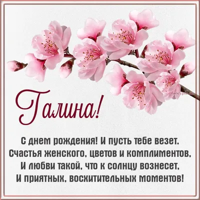 Галина Брежнева. 94 года назад родилась «кремлевская принцесса» - красивая  жизнь, которой окончилась трагически | Москва памятная | Дзен