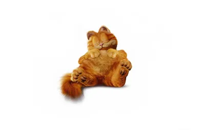 Купить Плакат "Кот Гарфилд, Garfield (2004)", 60×43см, цена 180 грн —   (ID#903690153)