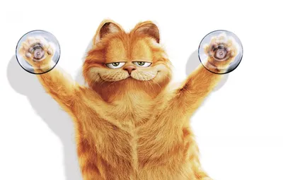 Обои кот, рыжий, cat, Гарфилд, Garfield картинки на рабочий стол, раздел  кошки - скачать