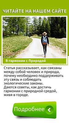 красивые фото :: гармония :: уединение :: спокойствие :: Природа (красивые  фото природы: моря, озера, леса) :: фото / смешные картинки и другие  приколы: комиксы, гиф анимация, видео, лучший интеллектуальный юмор.