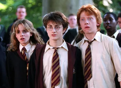 От Гермионы до Драко: 7 учеников Хогвартса сильнее и талантливее, чем Гарри  Поттер