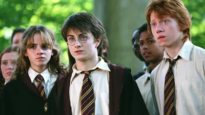 Гарри Поттер и Тайная комната (фильм) | Гарри Поттер вики | Fandom