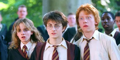 The Golden Trio обои на телефон | Poster, Mundo harry potter, Papeis de  parede