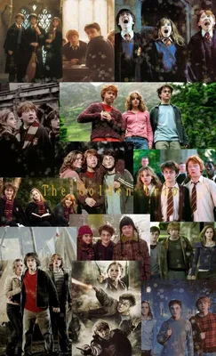 Гарри Поттер: как выглядят актеры сейчас спустя 20 лет - фото | Новини.live