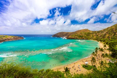 Тур на Гавайи: Оаху 7 дней » Пакет все включено
