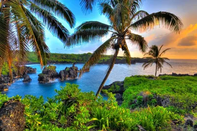 Гавайские картинки