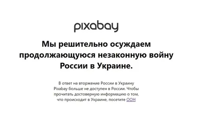 Где БЕСПЛАТНО брать картинки для сайта, блога или рекламы? Фотостоки и Один  Маленький Секрет! - YouTube