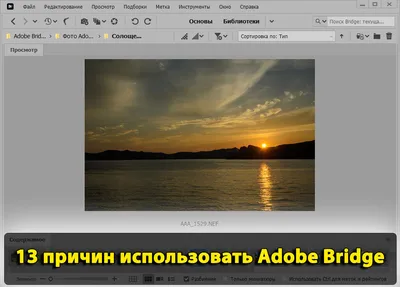 Ваш белый фон действительно белый, или Как использовать инструменты  Photoshop для редактирования заднего плана в фотографиях