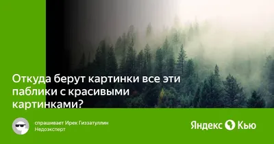 Откуда берут картинки все эти паблики с красивыми картинками?» — Яндекс Кью