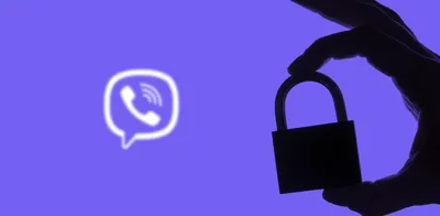 Viber for Business: как подключить и использовать эффективно